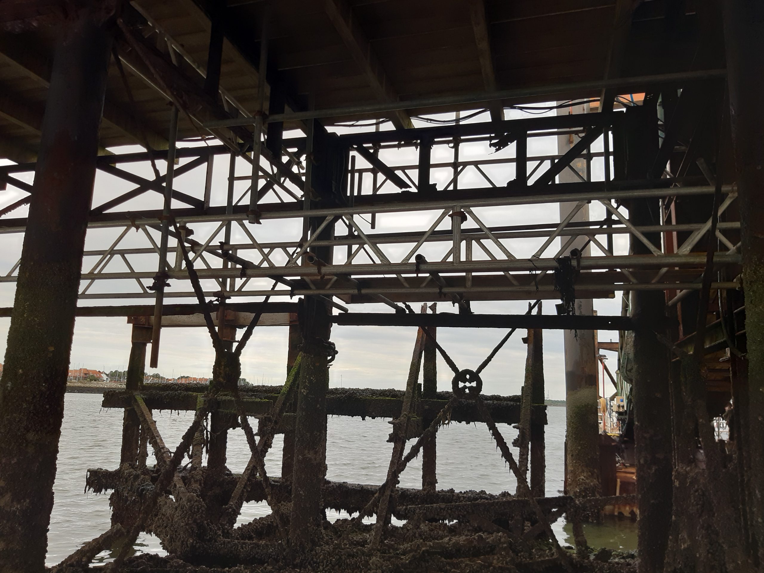 P20-scaffold-support